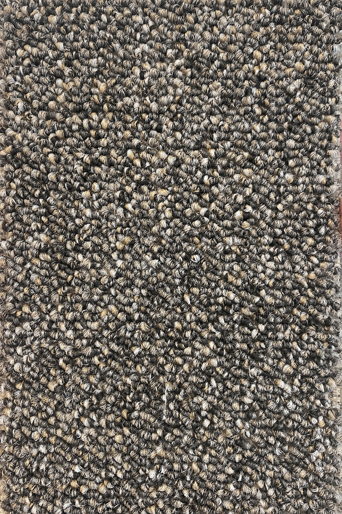 Ковровое покрытие "Bonkeel" Nero 97 (ширина 4м) — купить в Дзержинске