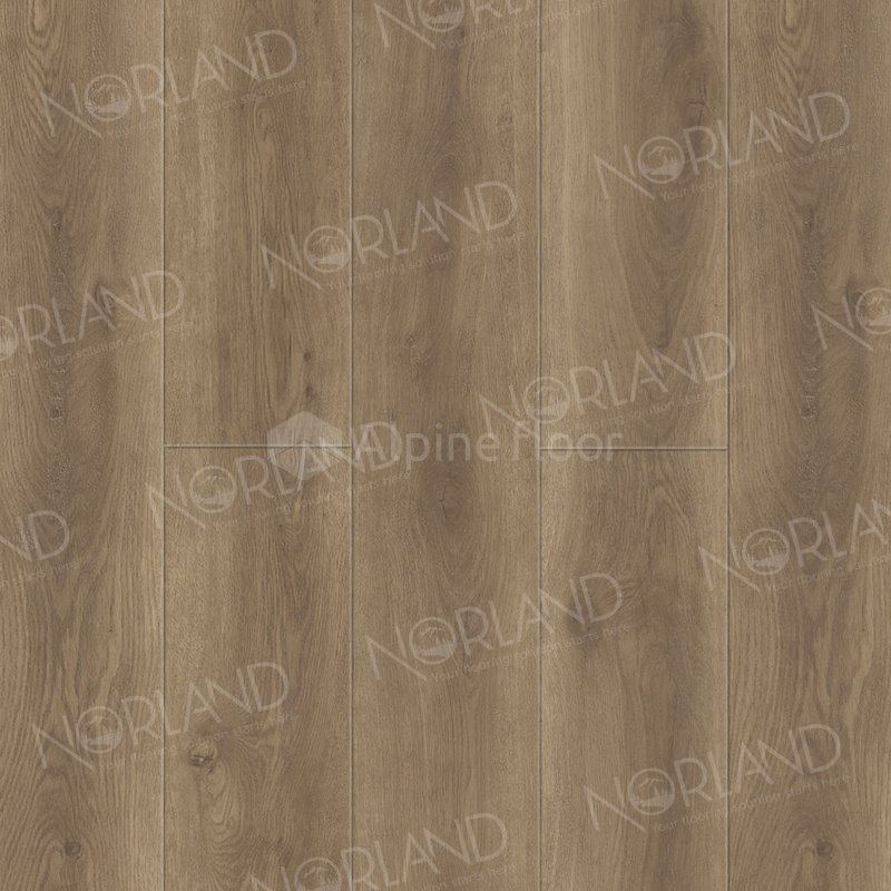 SPC Ламинат "Norland" Tista (1220*196*8 мм) — купить в Дзержинске