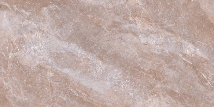 Керамогранит "Wan Sheng" Butterfly (1200*600 мм) Коричневый — купить в Дзержинске