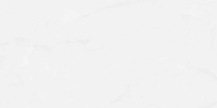 Керамогранит "Wan Sheng" Glazed (1200*600 мм) Серый D12617 — купить в Дзержинске