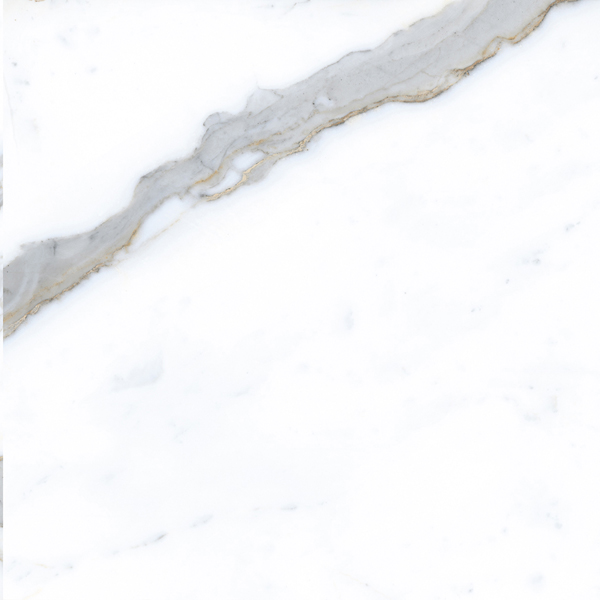 Керамогранит Pallisandro (Паллисандро) 600x600 классик MR — купить в Дзержинске