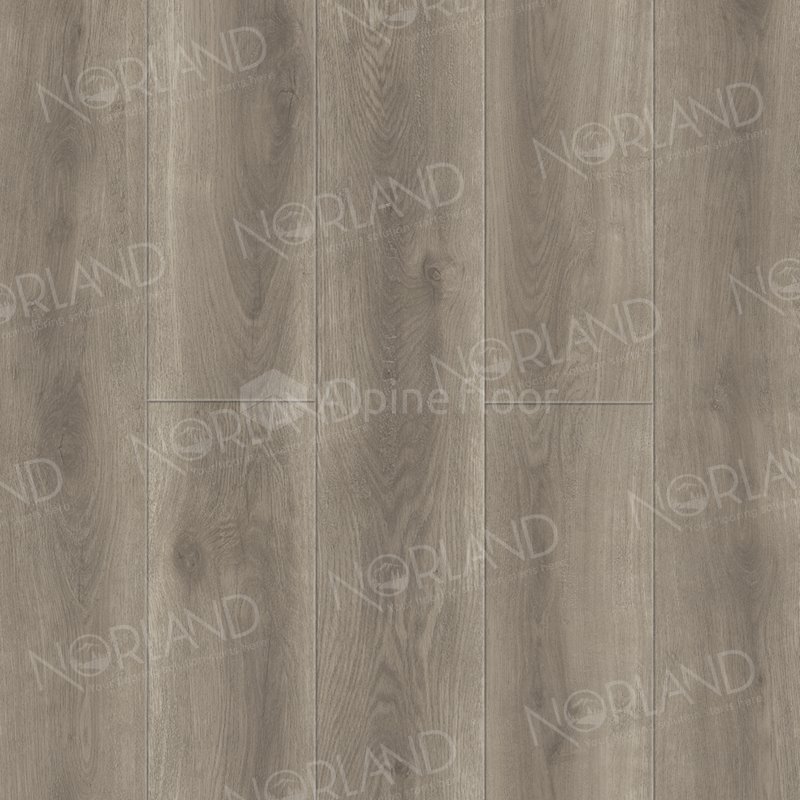 SPC Ламинат "Norland" Templet (1220*196*8 мм) — купить в Дзержинске