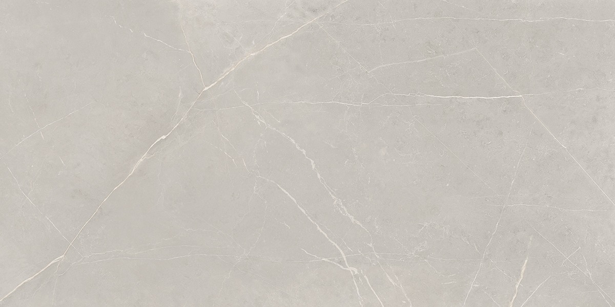 Керамогранит Nolana Light Grey 600x1200 полированный серый NL02 — купить в Дзержинске