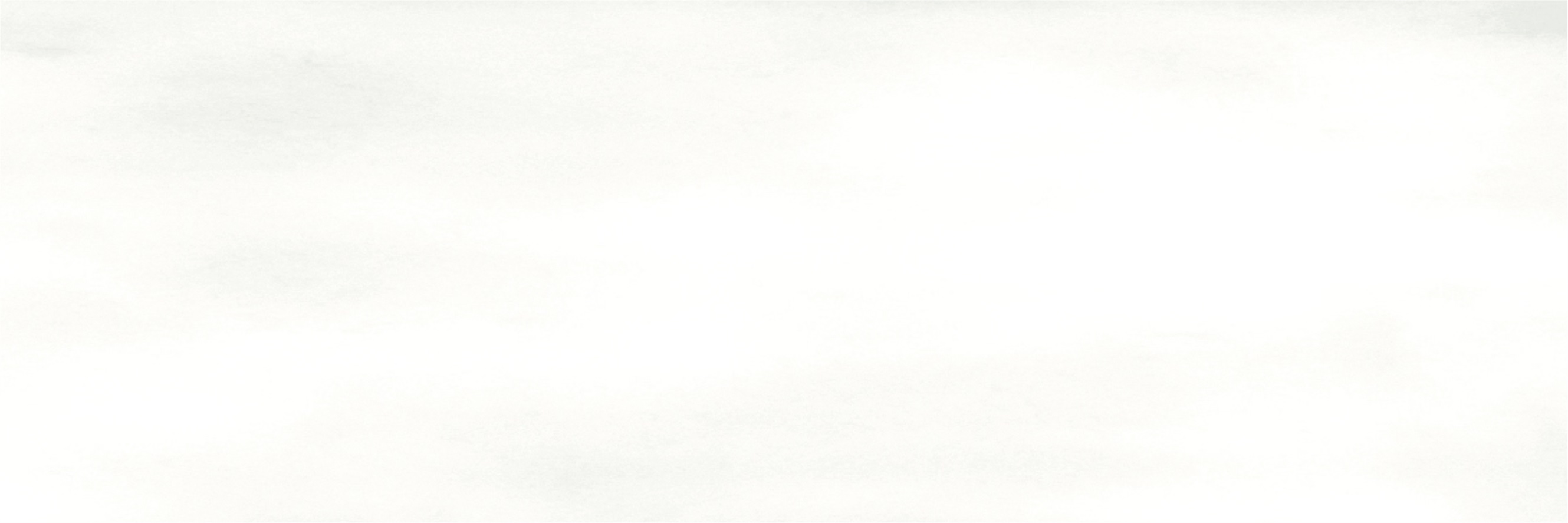 Керамогранит Camelot White 75x225 matt белый — купить в Дзержинске